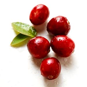 Cranberry Count Hopula