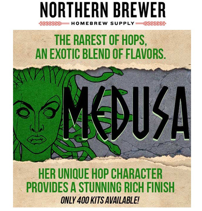 Medusa Cream Ale